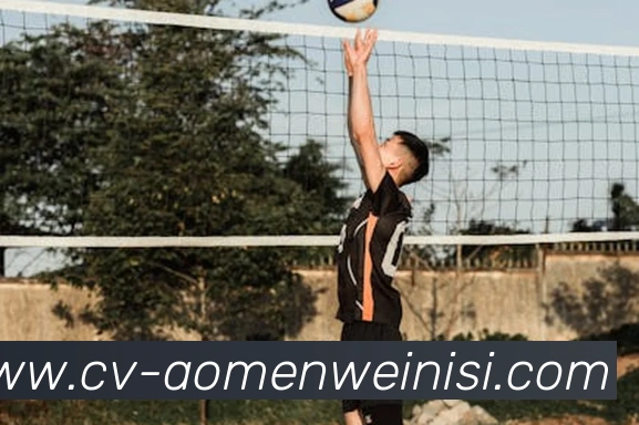 威尼斯人娱乐官网平台生态图