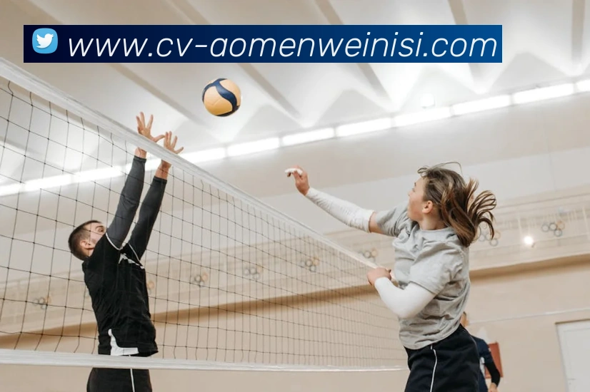 威尼斯人娱乐官网APP 封面图